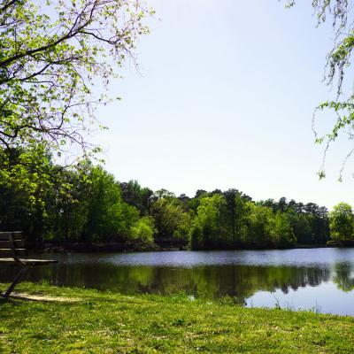 Relaxing Parks
